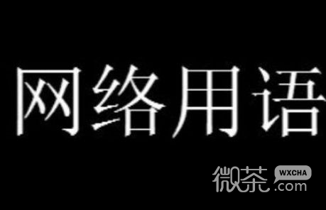 家人们谁懂啊语录详情