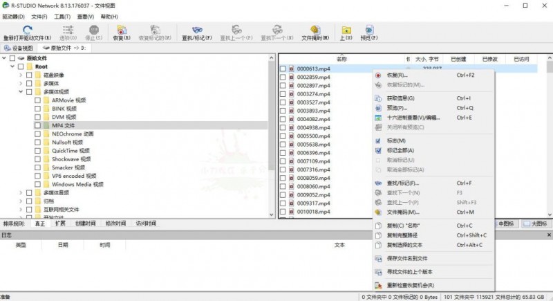 [windows] 数据恢复 R-Studio v9.2.191126 实用便携版