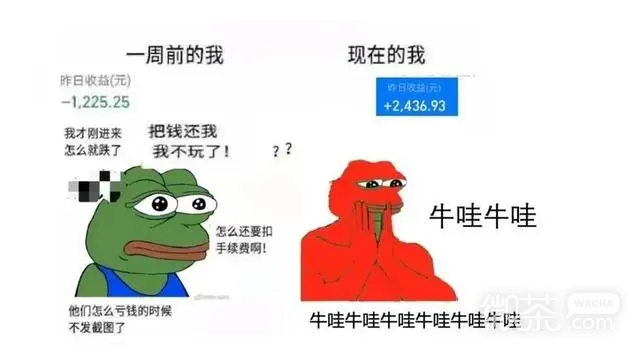 基金牛蛙梗是什么意思详情