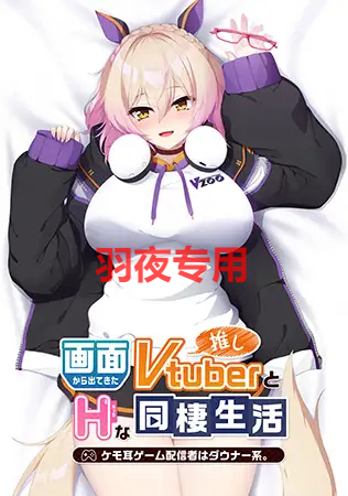 [ADV/AI智能翻译] 画面から出てきた推しVtuberとHな同棲生活1 ～ケモ耳ゲーム配信者はダウナー系 [900M/度盘]